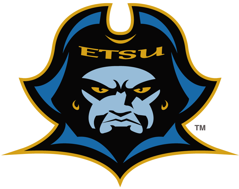 ETSU Buccaneers 2007-2013 Primary Logo iron on transfers for fabric